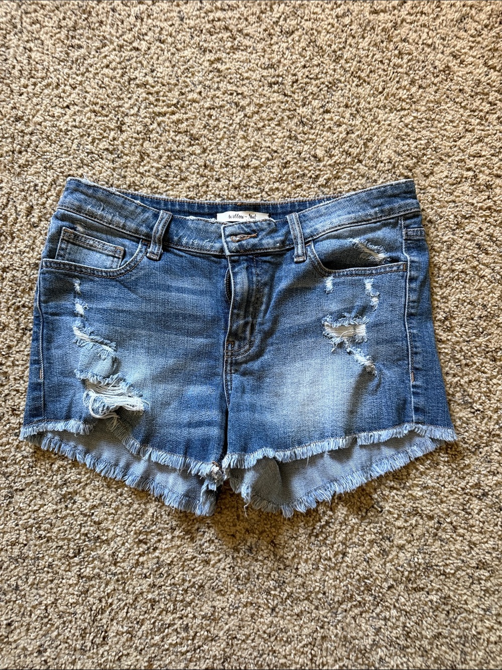 Denim Distressed Frayed Hem Blue Jean Shorts